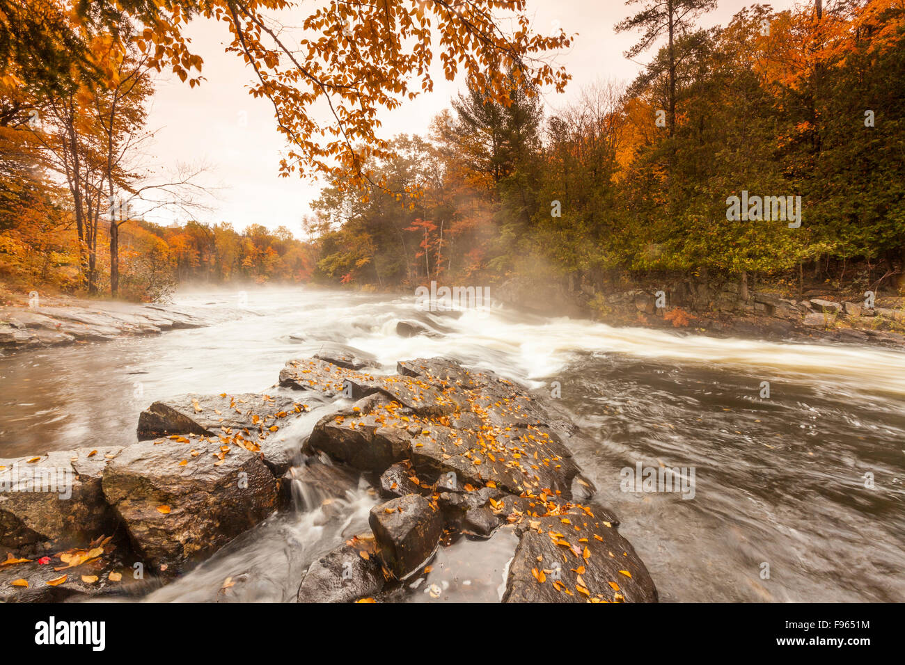 Fall colours and mist in Oxtongue Rapids Park on the Oxtongue River