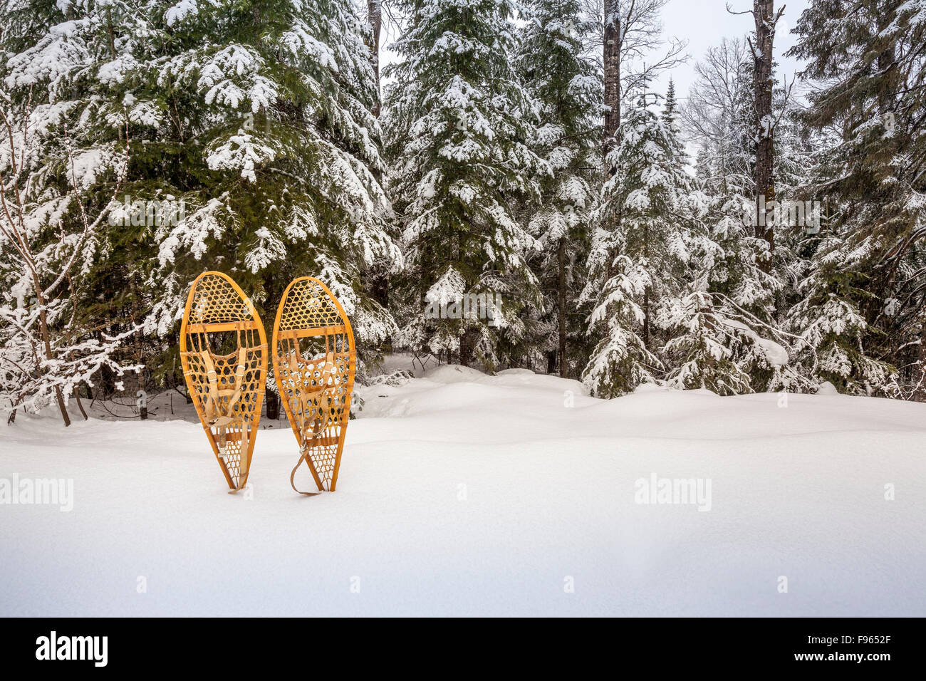Wooden snowshoes in a snowbank in Algqonquin Provincial Park, Ontario, Canada Stock Photo