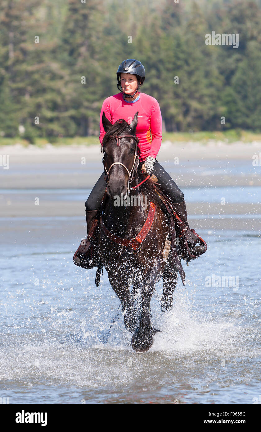 A horse and rider run through the low tidal pools along Stories Beach near Port Hardy. Stock Photo