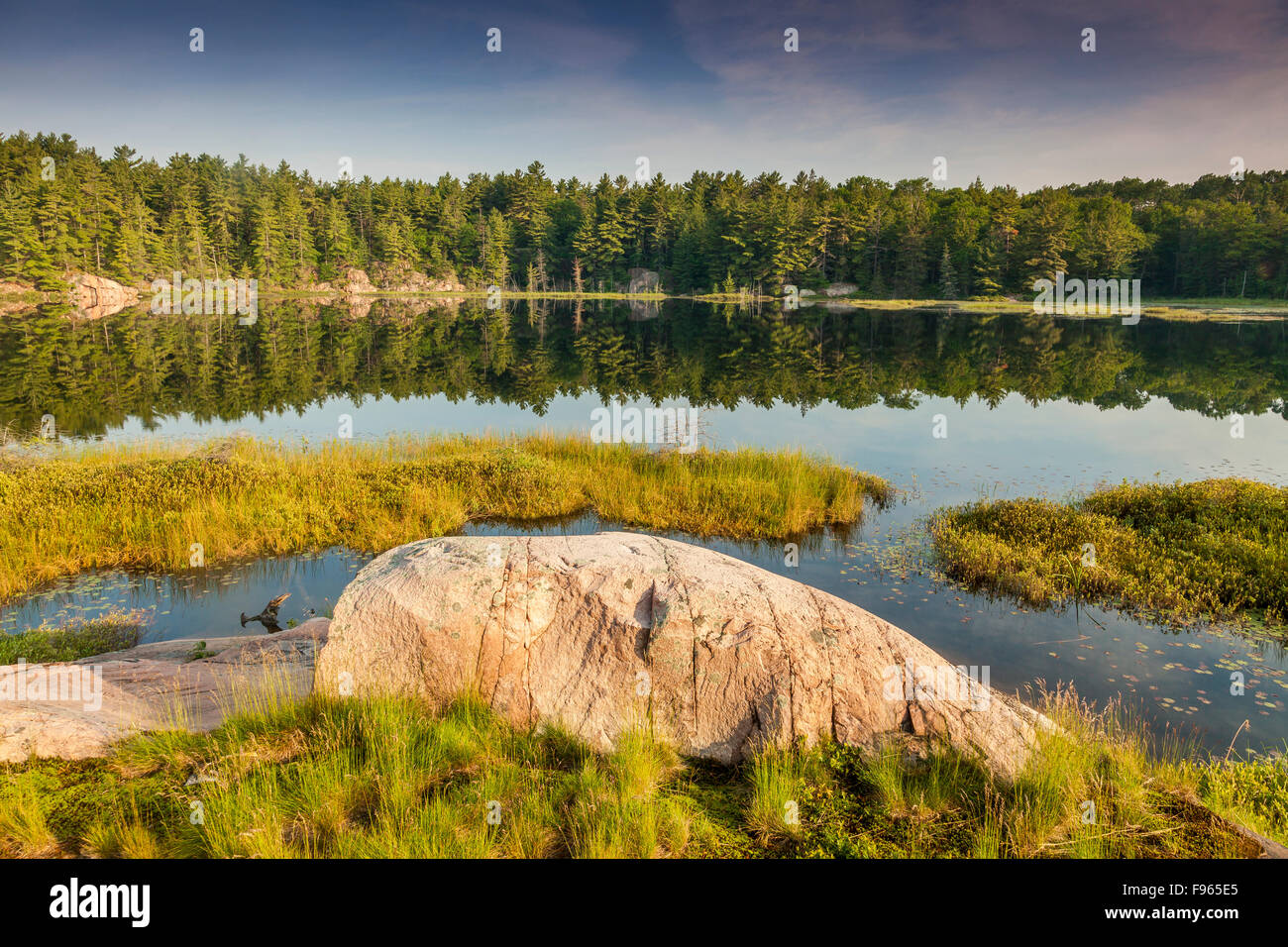 Cranberry bogs hires stock photography and images Alamy