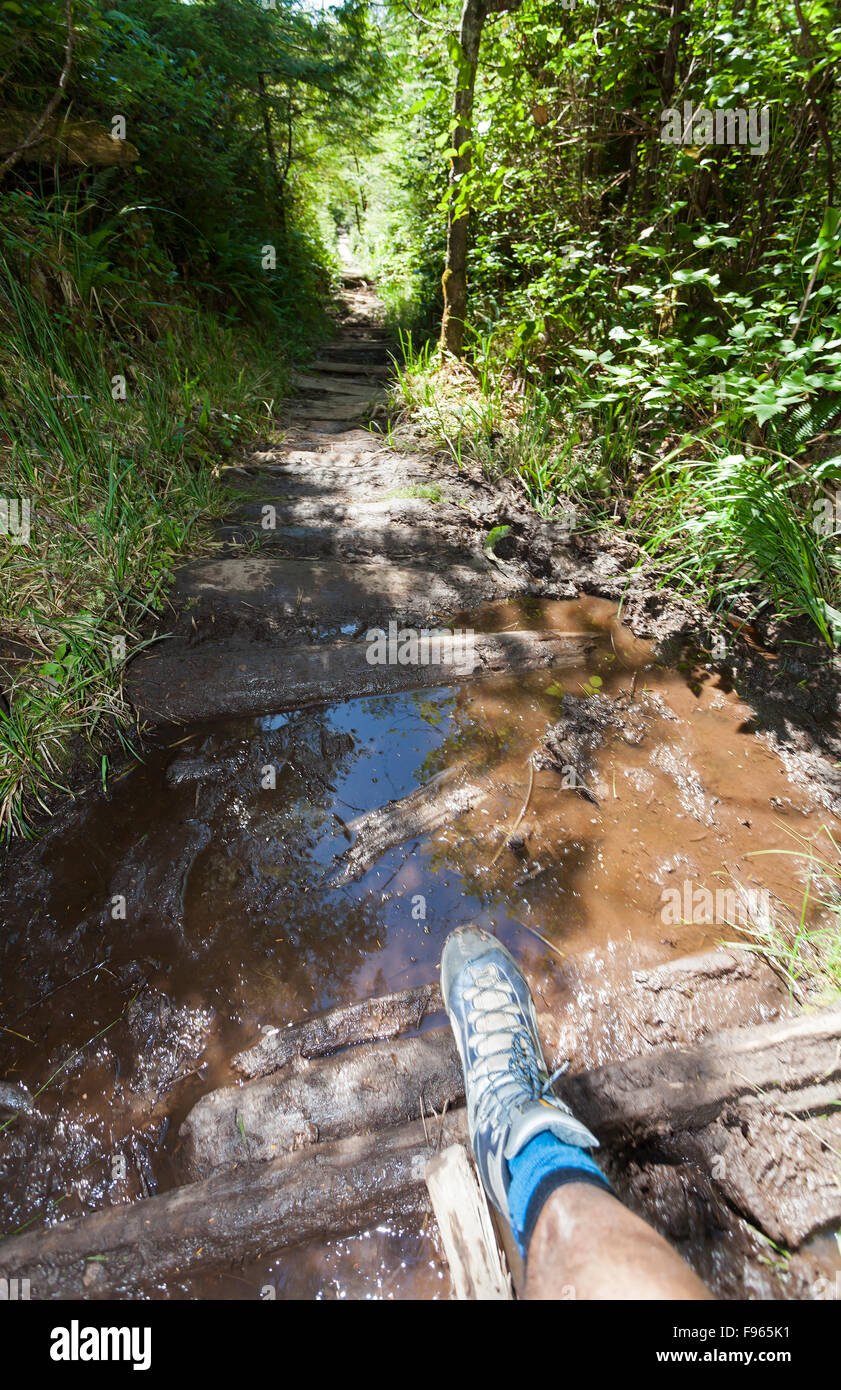 Sections of the Cape Scott and North Coast Trail are perpetually wet and are a constant challenge over the course of the hike. Stock Photo