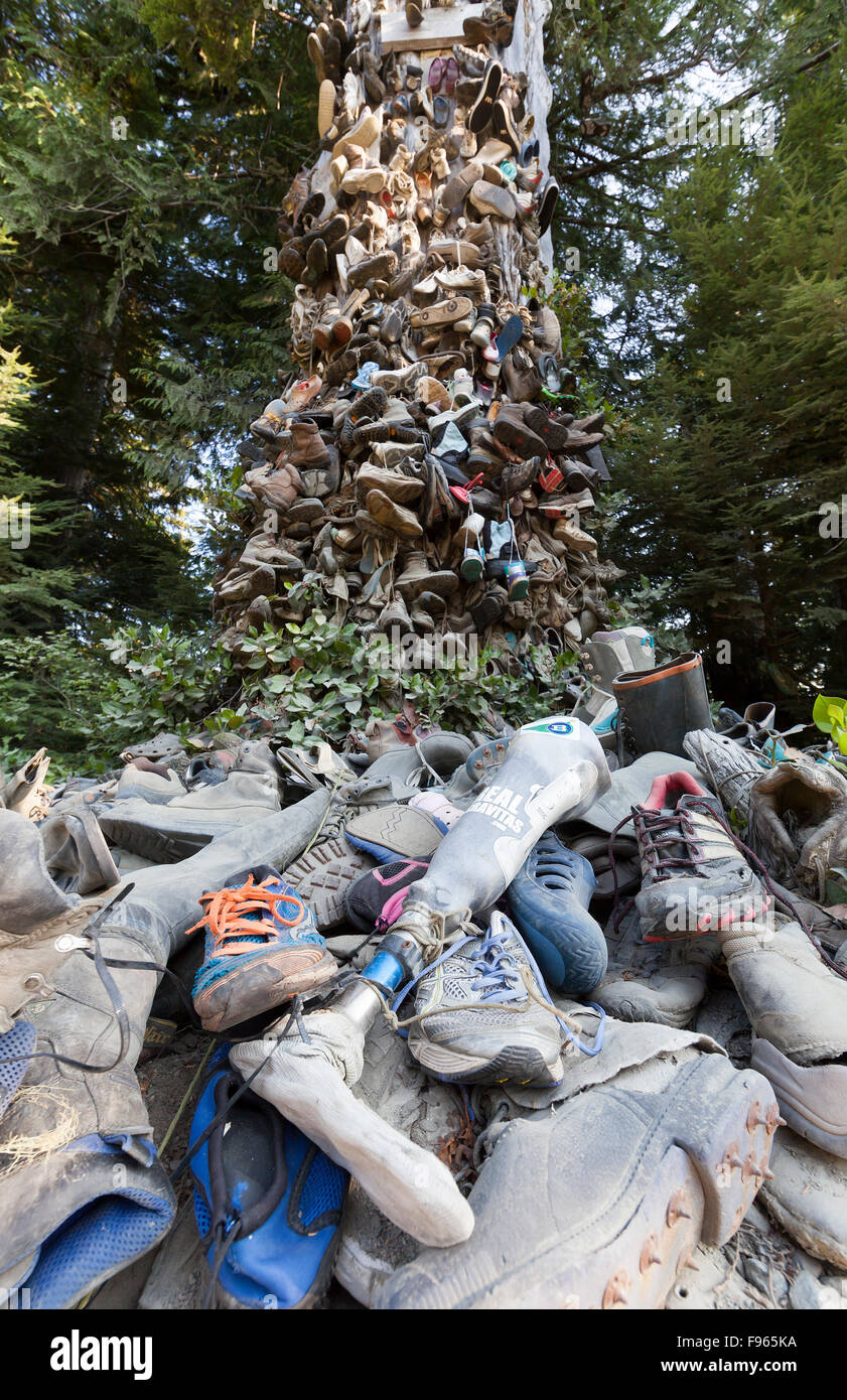 A popular stop on the Holberg Rd is the Shoe Tree, with it's momentos of abandoned shoes and boots originally left by hikers Stock Photo