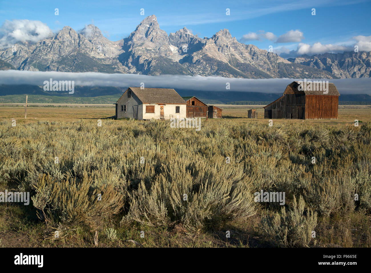 Scenic of Teton Mountain Range and historic buildings from the T.A. Moulton Ranch on Mormon Row in Grand Teton National Park, Stock Photo