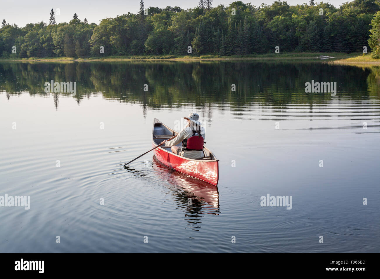 Woman paddling a red canoe on Crescent Lake in Lake Suprerior Provincial Park, Ontario, Canada Stock Photo