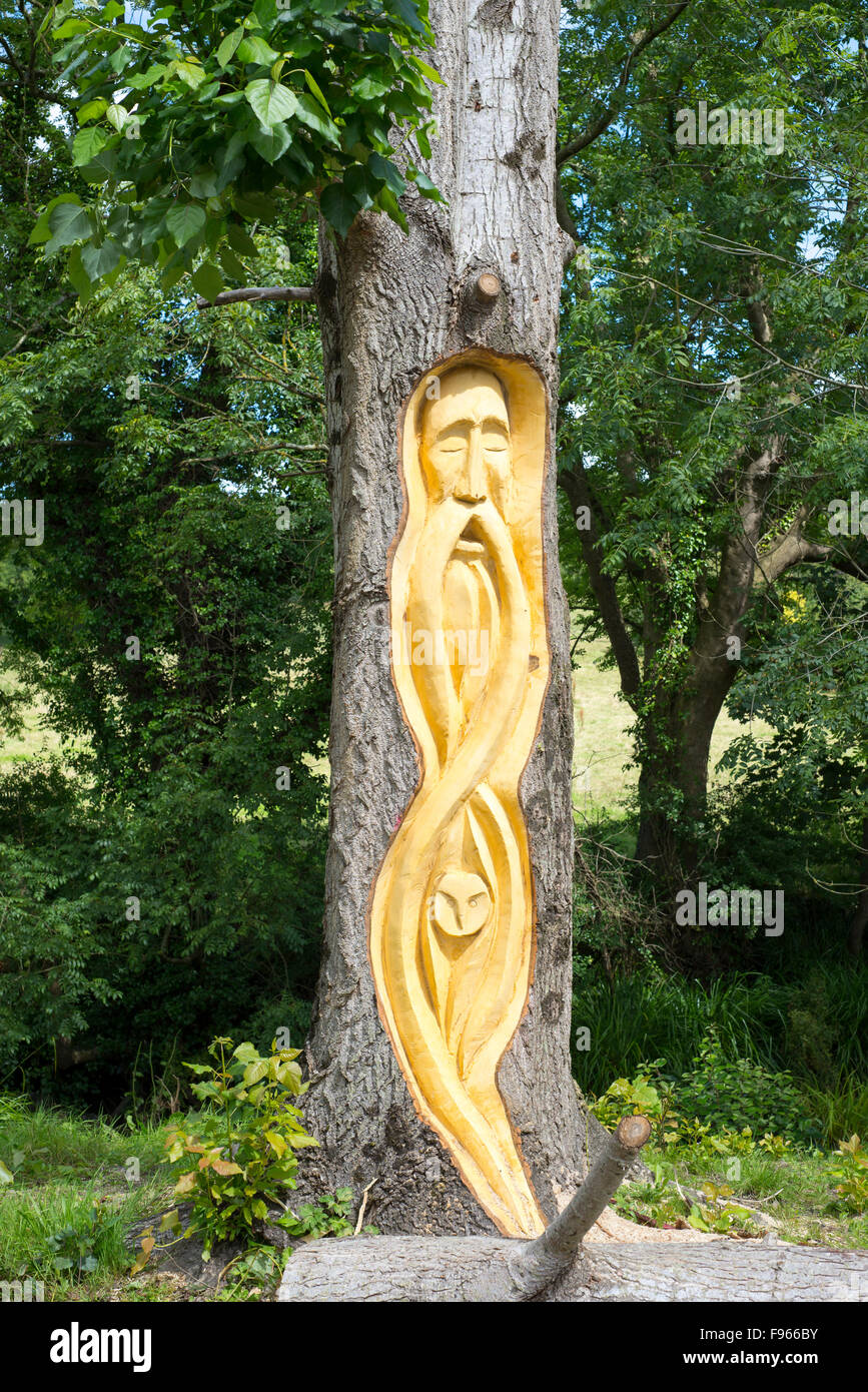 bearded man tree engraving in tarbert park on the wild atlantic way ireland Stock Photo