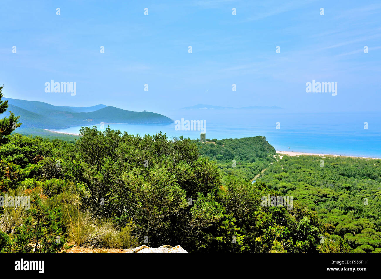 Typical landscape of Maremma with watch towers, Southern Tuscany, ancient farming land, conquered back by nature, Italy Stock Photo