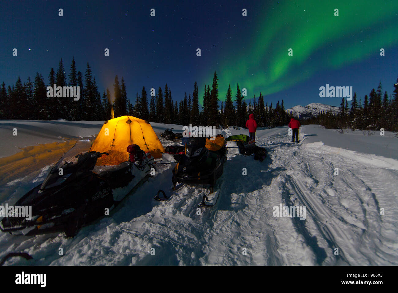 The northern lights (Aurora Borealis) dance in a northern sky along the North Canol Trail, Yukon territory. Stock Photo