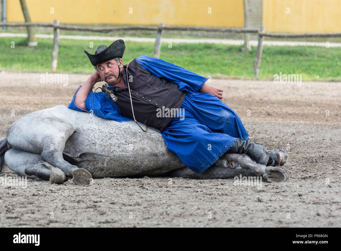Hungary is home to an array of unusual animals and farming practices. Flamboyant csikos horsemen are the region's cowboys Stock Photo - Alamy Hungary is home to an array of unusual animals and farming practices. Flamboyant csikos horsemen are the region's cowboys Stock Photo - Alamy