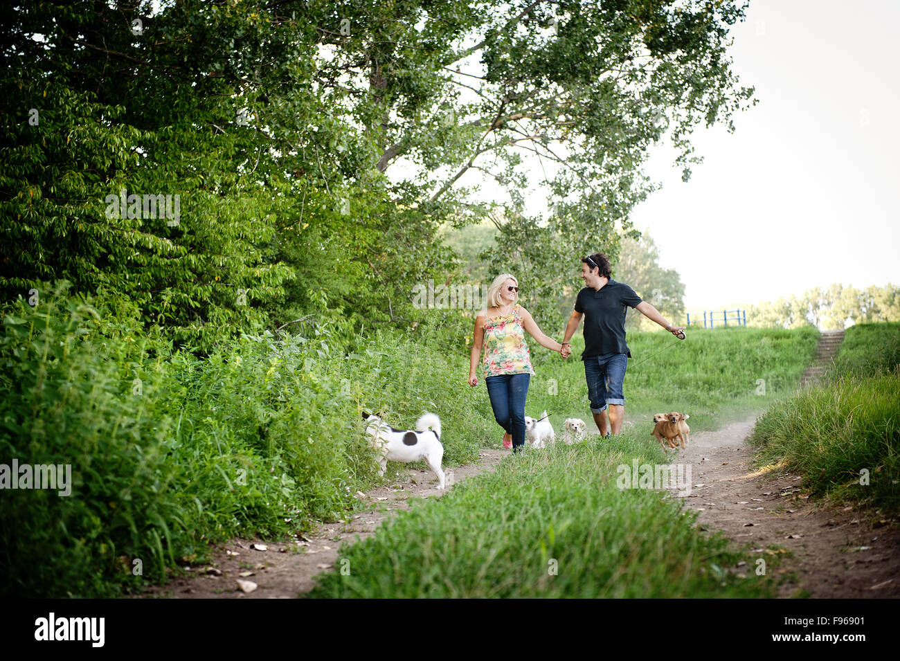 Happy young couple is walking their two dogs in green nature Stock ...