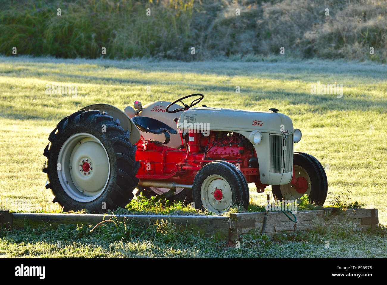 A vintage Ford farm tractor on display in a rural farm field in the early morning light near Sussex New Brunswick Canada. Stock Photo