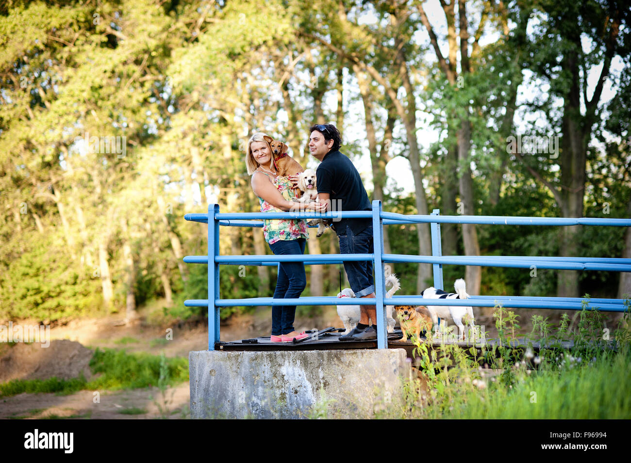 Happy young couple is walking their two dogs in green nature Stock ...