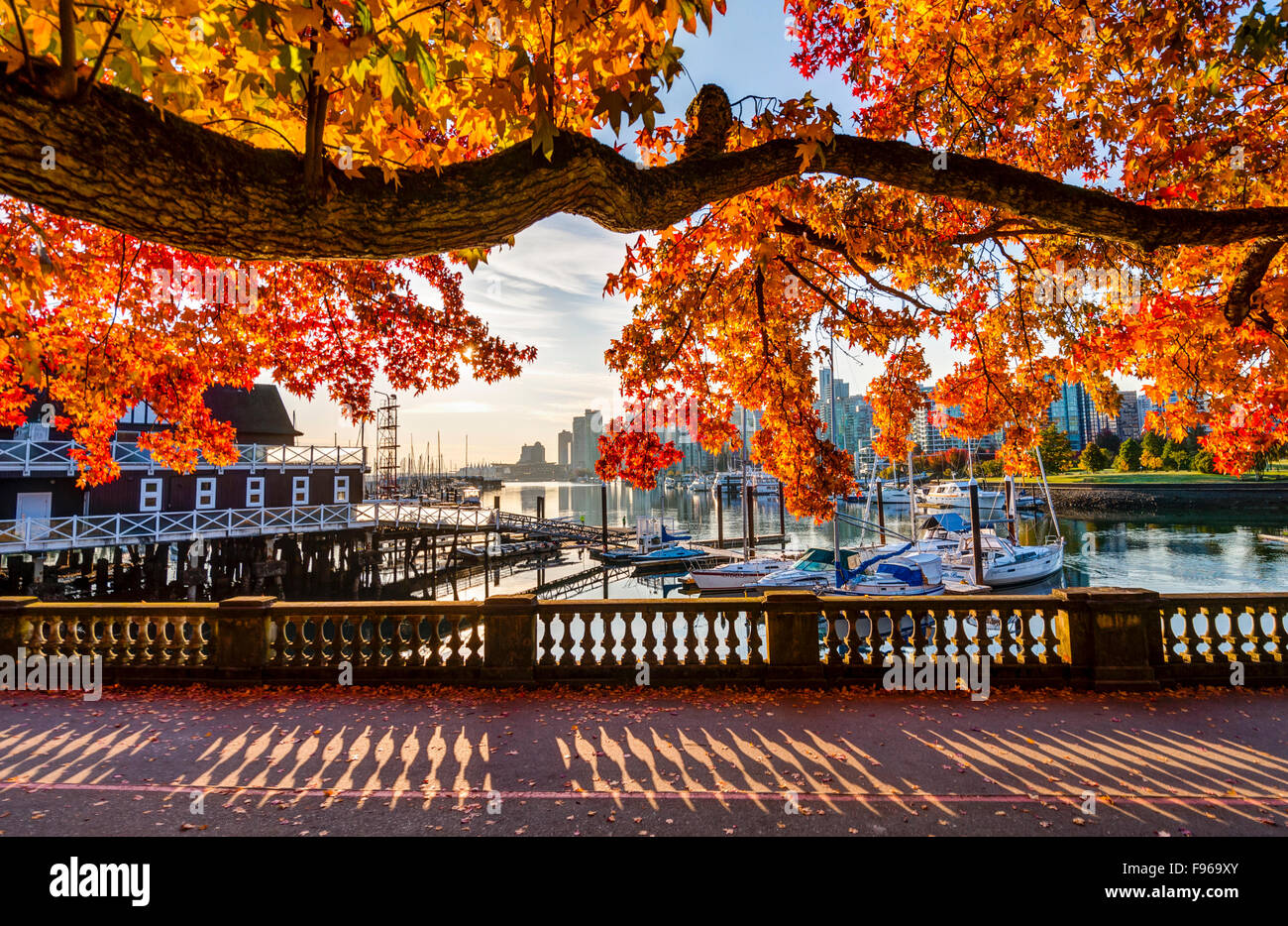 Sea wall at Coal Harbour in autumn. Stock Photo