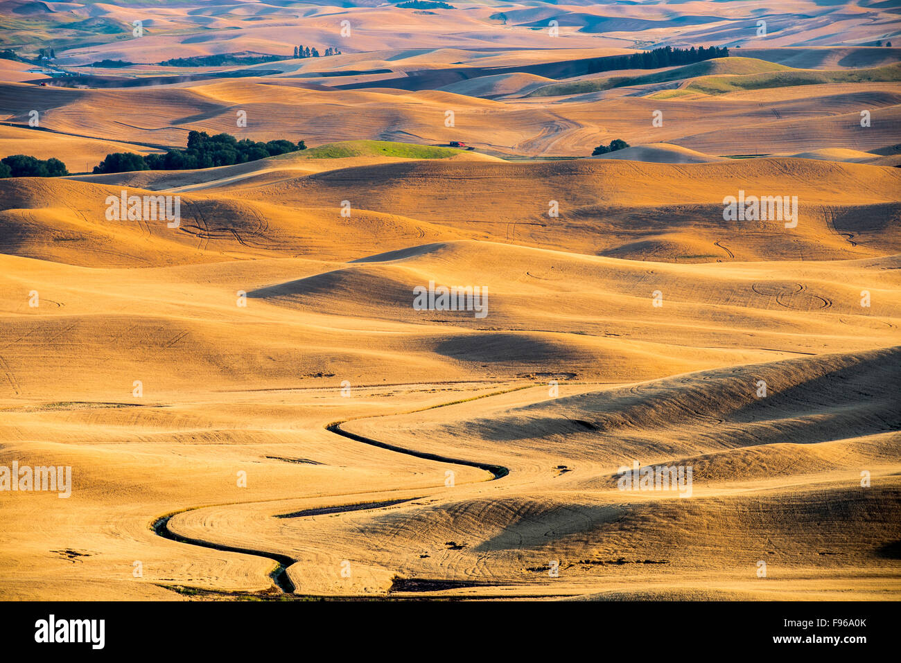 Rolling hills at sunset. Palouse, Washington, USA Stock Photo - Alamy