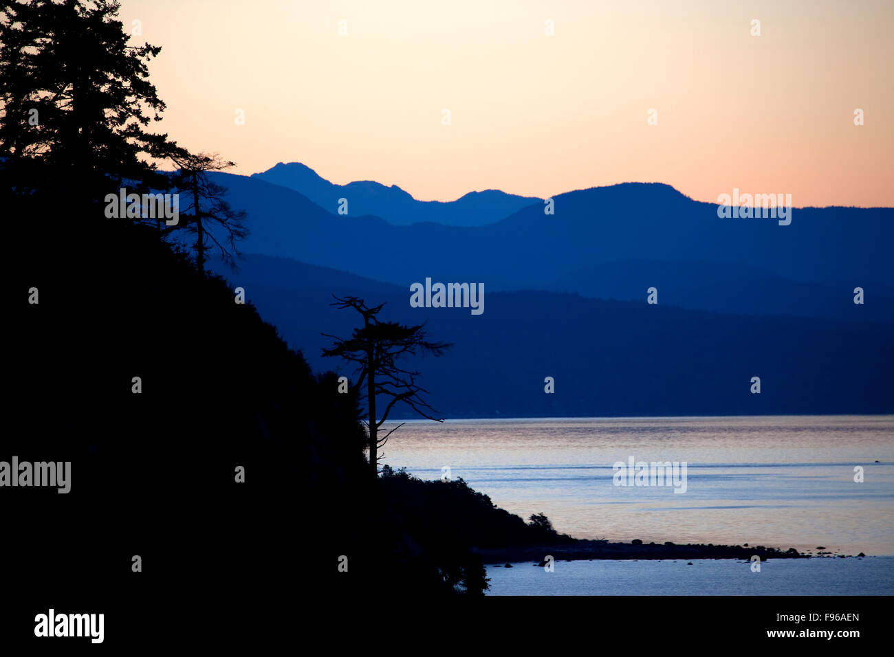 Dawn, Sunrise, Coastal Forests, Douglas Fir Trees (Pseudotsuga menziesii ), Sillhouette, Beach, Tidal waters, Coast Mountains, Stock Photo