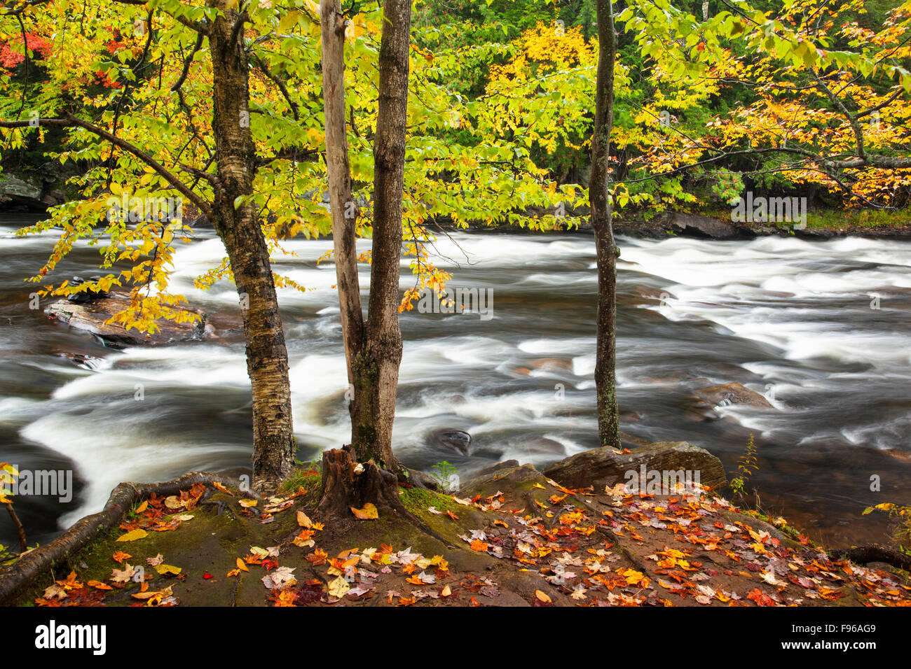 Oxtongue river hi-res stock photography and images - Alamy