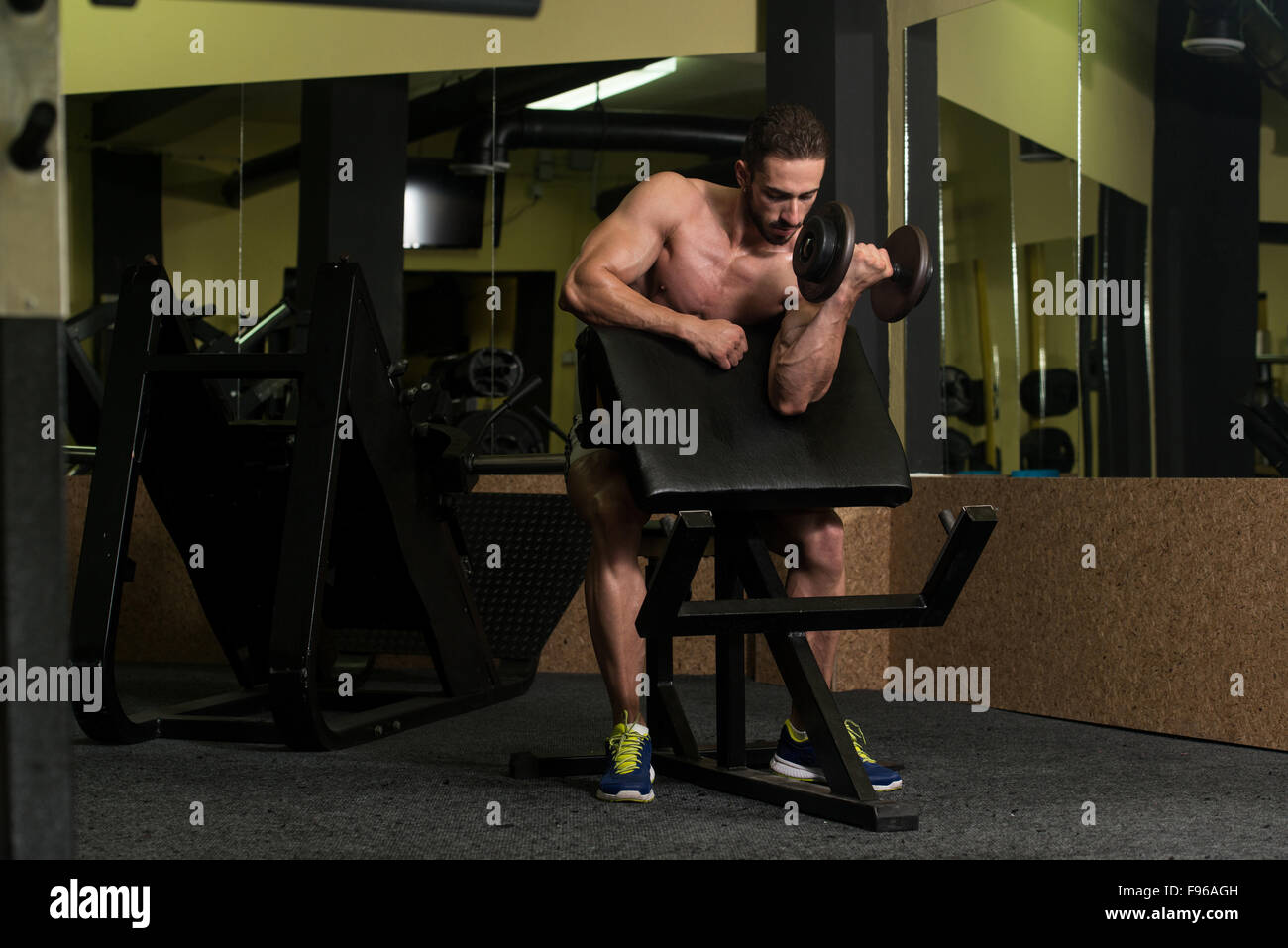Young Man Working Out Biceps - Dumbbell Concentration Curls Stock Photo ...