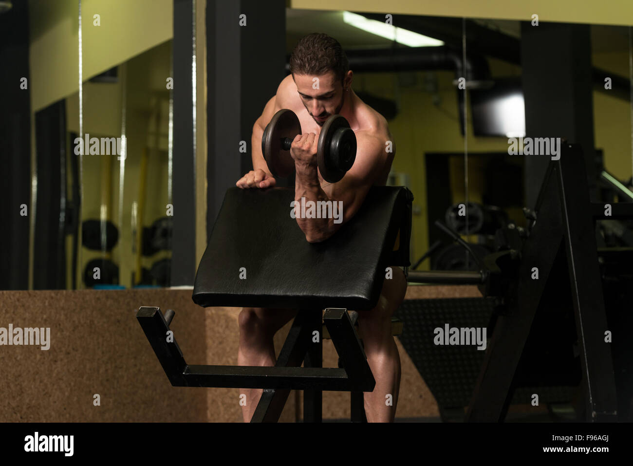 Young Man Working Out Biceps - Dumbbell Concentration Curls Stock Photo ...