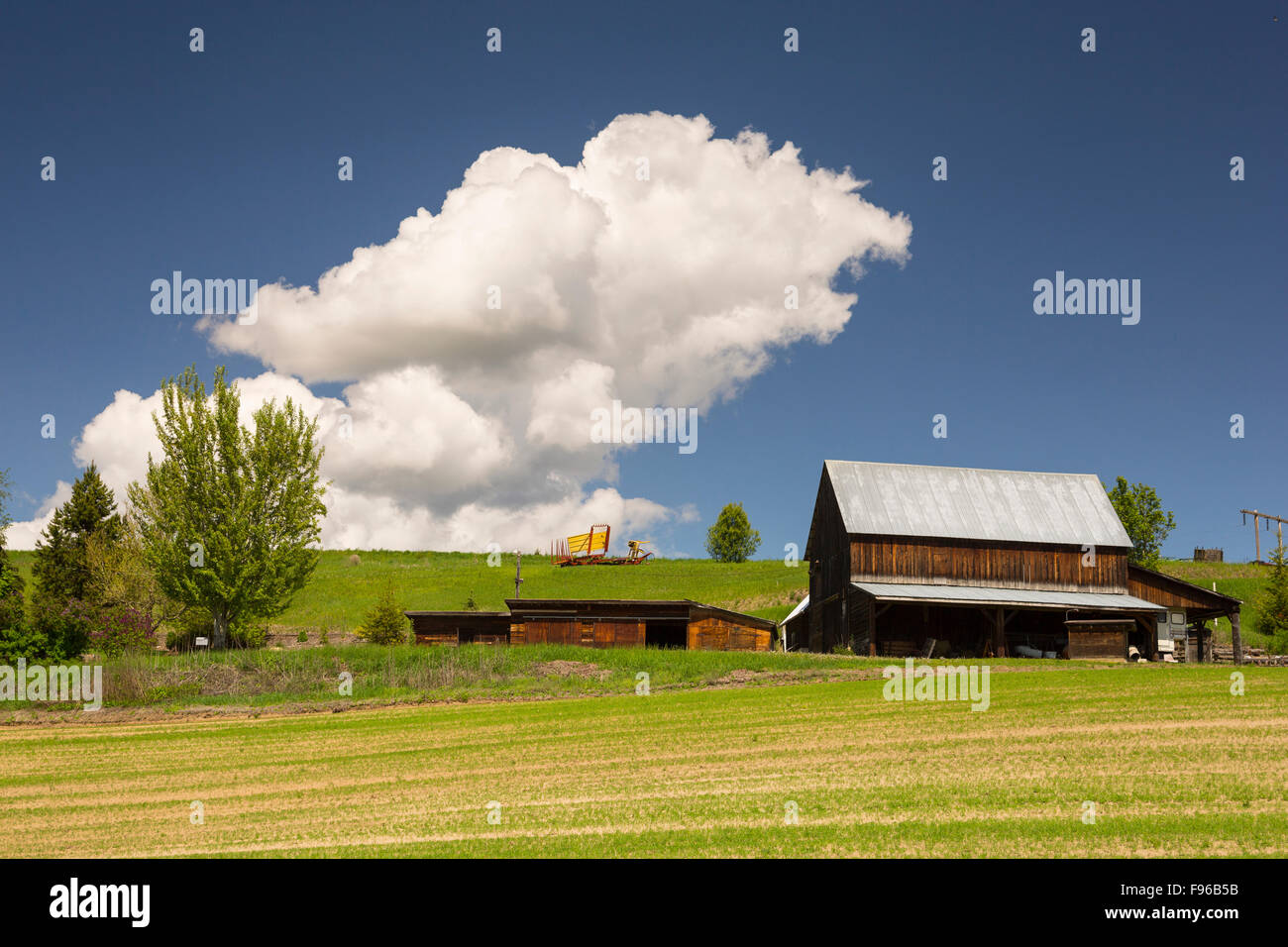 Wooden barn, North Okanagan, British Columbia, Canada Stock Photo