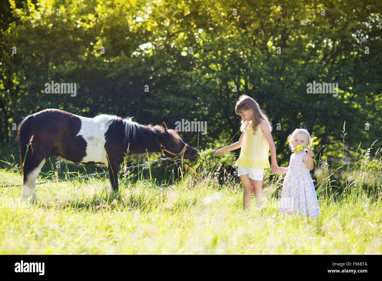 Portrait of two little sisters having fun at countryside outdoors, feeding pony Stock Photo