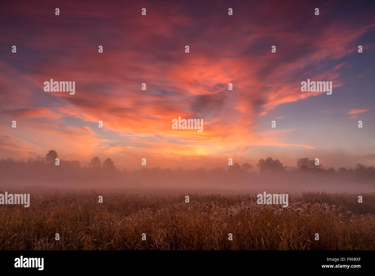 Wetland sunrise, Lively, City of Greater Sudbury, Ontario, Canada Stock Photo