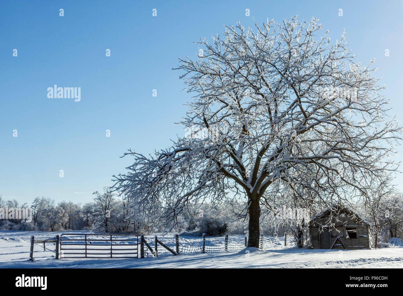 After the freezing rain, Goderich, Ontario, Canada Stock Photo - Alamy