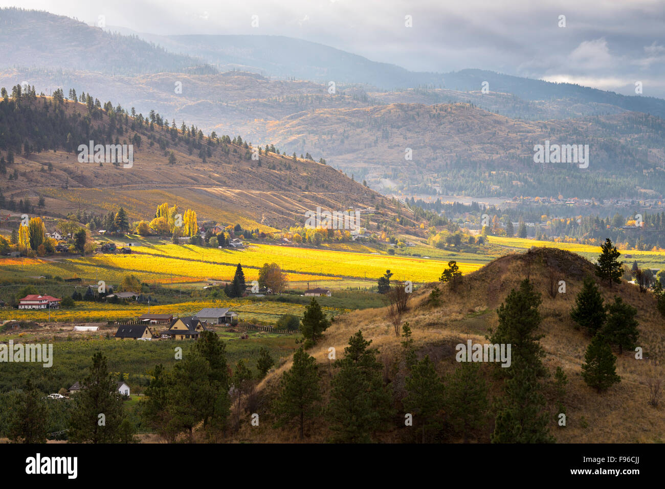 Mountains, houses and colourfull vineyards in the fall on the Naramata Bench in Penticton, South Okanagan Valley of British Stock Photo