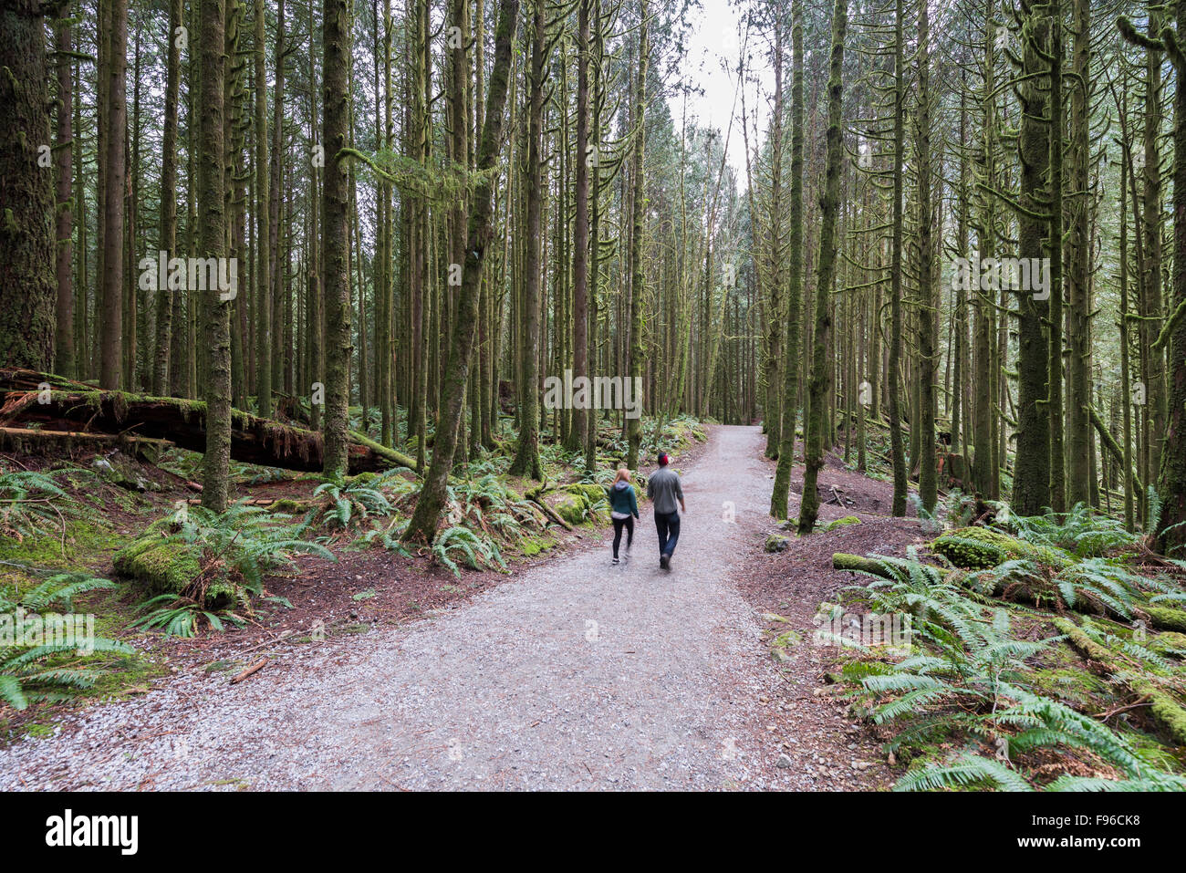 Couple hiking in Golden Ears provincial park, Maple Ridge, British Columbia, Canada Stock Photo