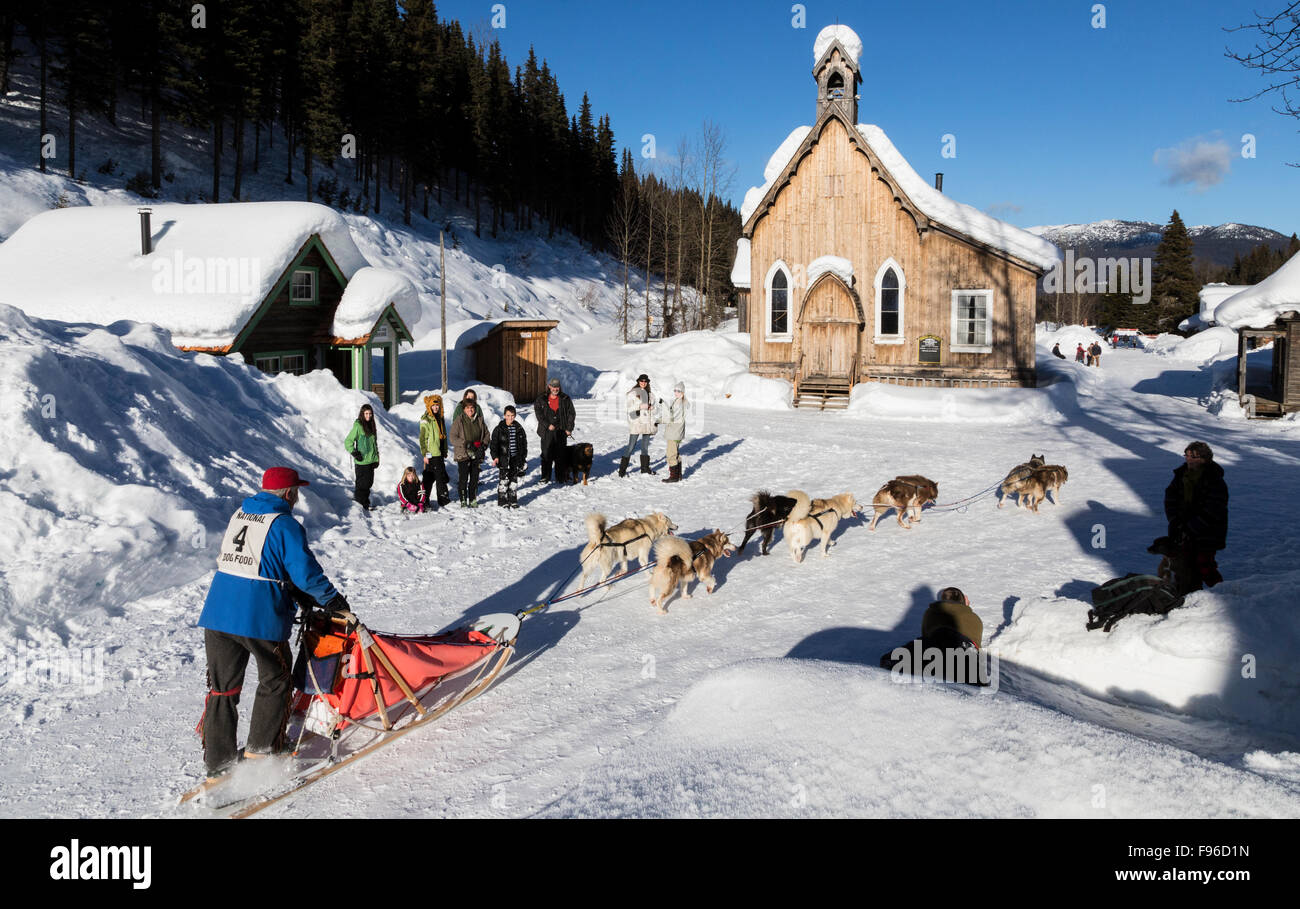 British Columbia, Canada, Gold Rush Dog Sled Mail Run, Barkerville, North Cariboo region, Stock Photo