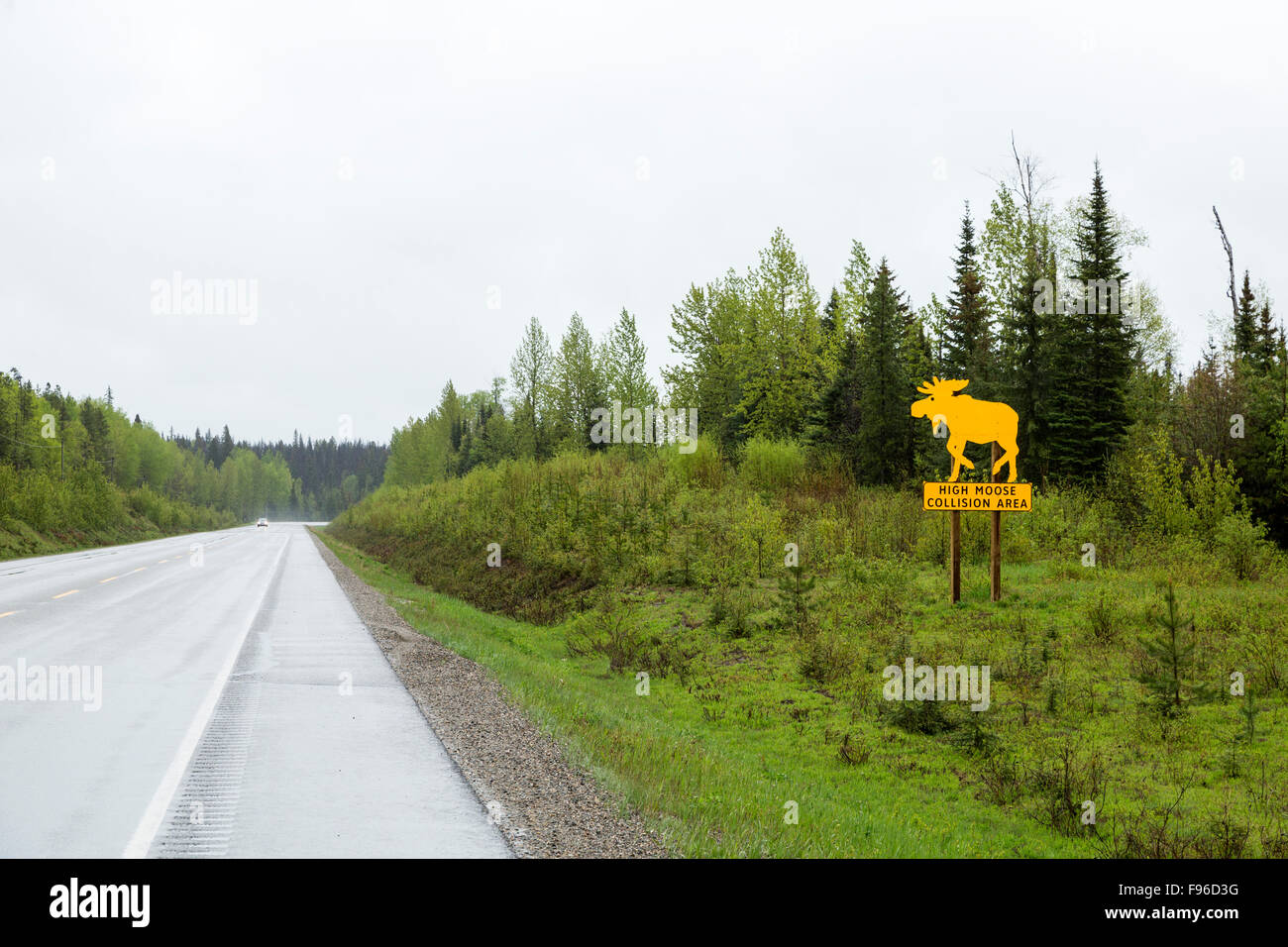 British Columbia, Canada, Highway sign, moose sign, Highway 16, Robson Valley, Stock Photo
