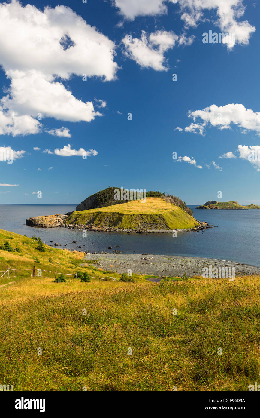 Coastal hiking trail, Tors Cove, Newfoundland, Canada Stock Photo