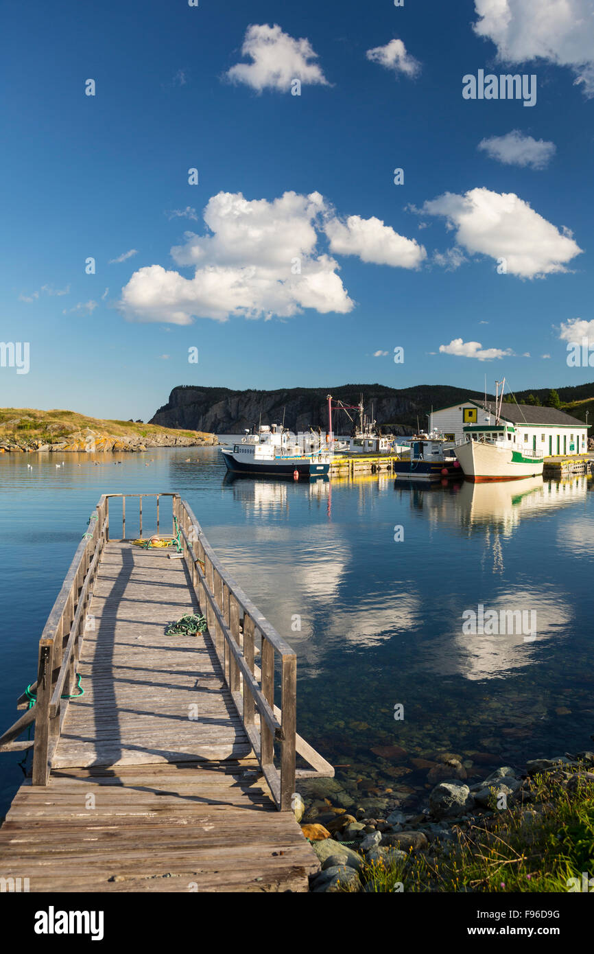 Fishing boats tied up at wharf, Brigus South, Newfoundland, Canada Stock Photo