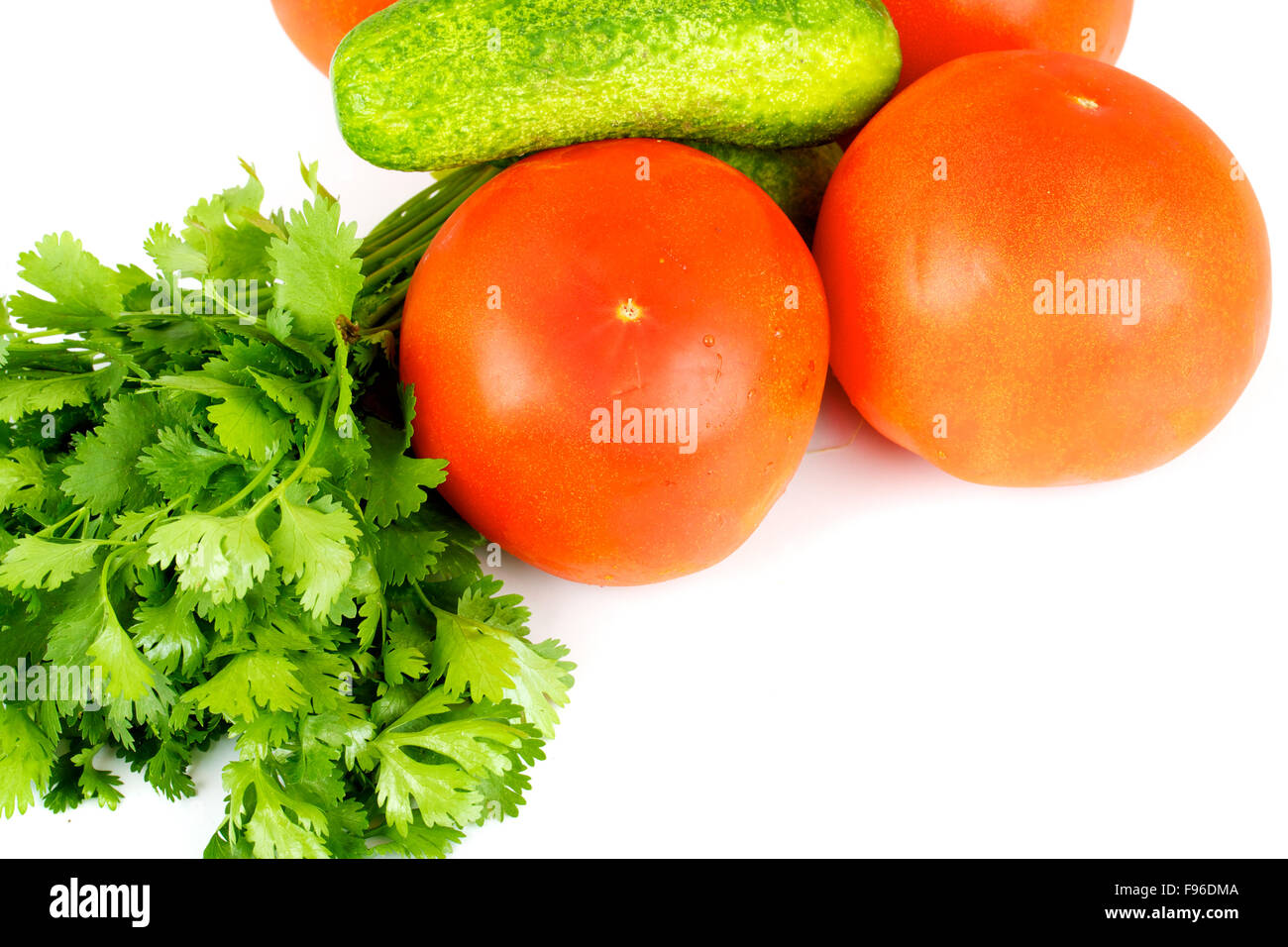 Tomato and cucumber with green coriandr Stock Photo - Alamy