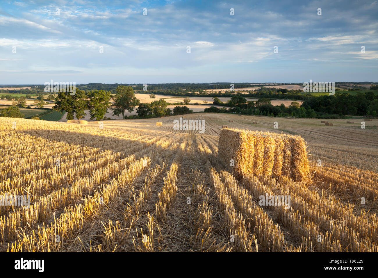 A field of harvested bales with long shadows cast by the low-angled evening sun near East Haddon, Northamptonshire, England Stock Photo