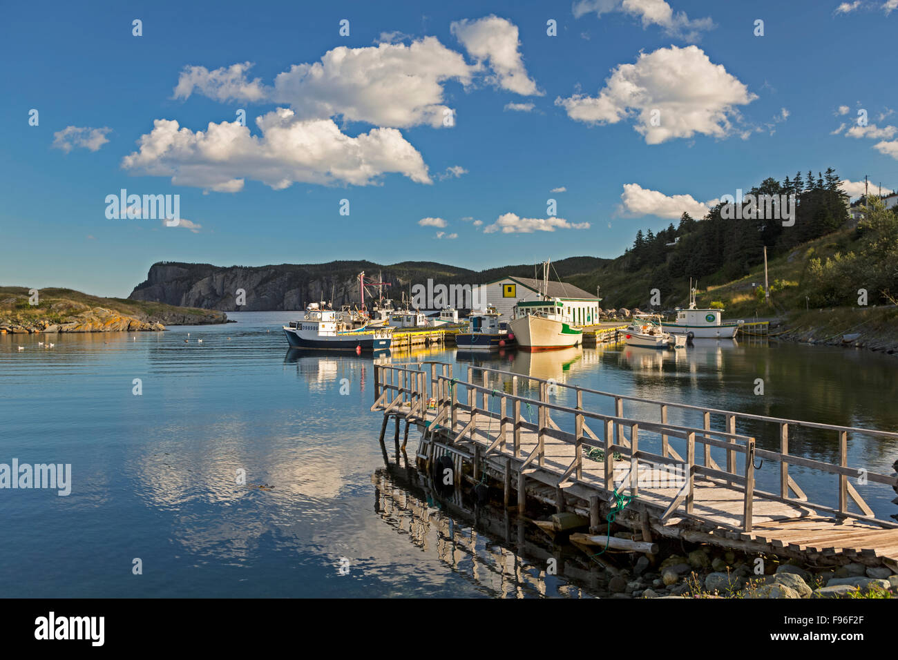 Fishing boats tied up at wharf, Brigus South, Newfoundland, Canada Stock Photo