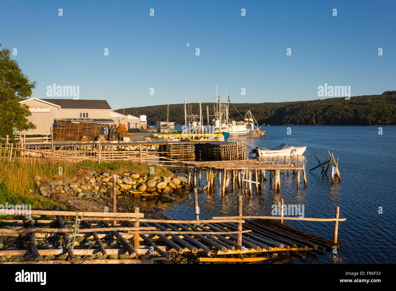 Fishing boats tied up at wharf, Cape Broyle, Newfoundland, Canada Stock Photo