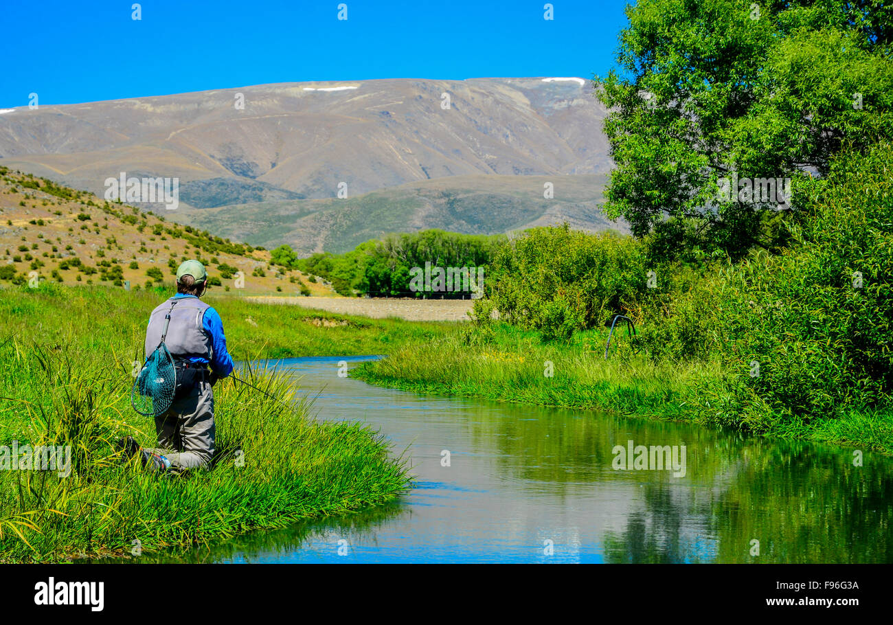 Spring Creek, New Zealand Stock Photo Alamy