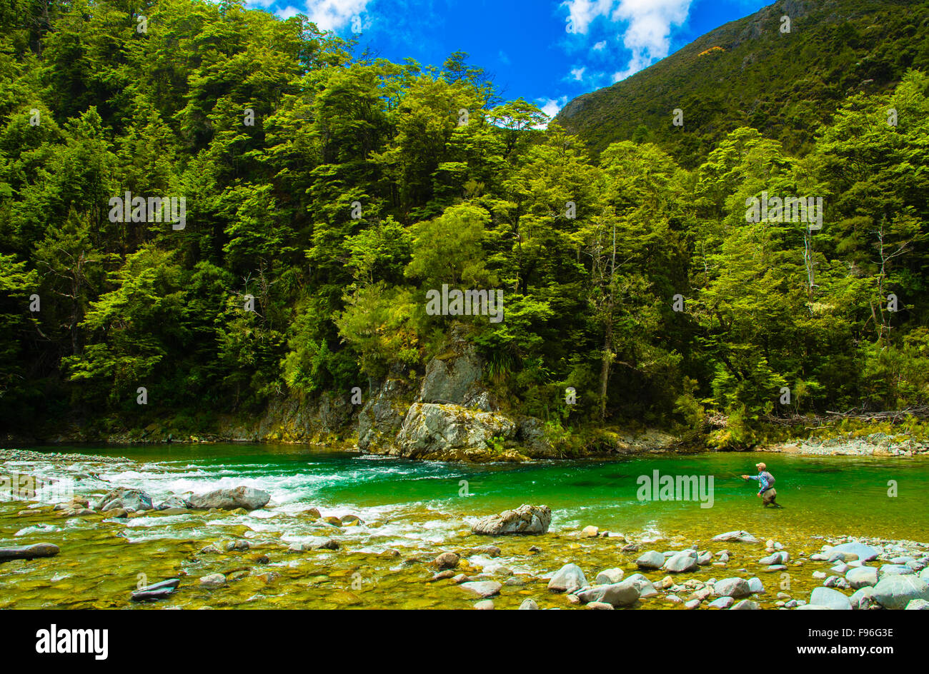 Rangitikei River Trout Fishing New Zealand Central Plateau Stock Photo