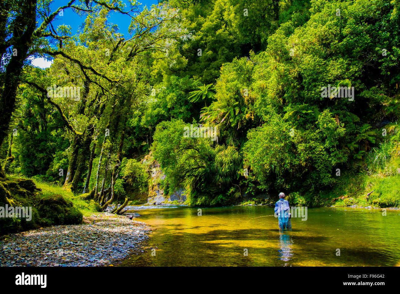 Awakino River, North Island, New Zealand Stock Photo