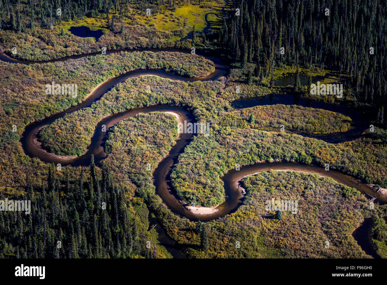 Canada, British Columbia, aerial photography, Bowron River marsh, Bowron Lake Park, Stock Photo