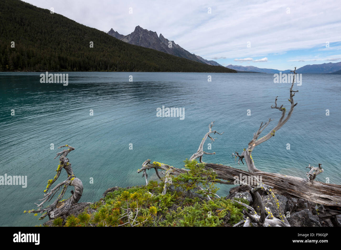Canada, British Columbia, Chilcotin, Chilcotin Ark, Chilko Lake Stock