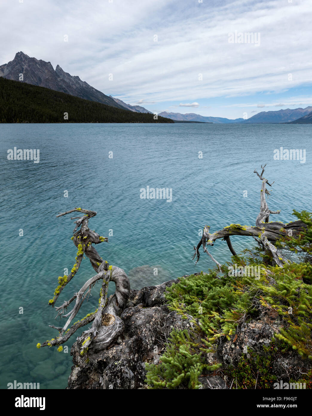 Canada, British Columbia, Chilcotin, Chilcotin Ark, Chilko Lake Stock