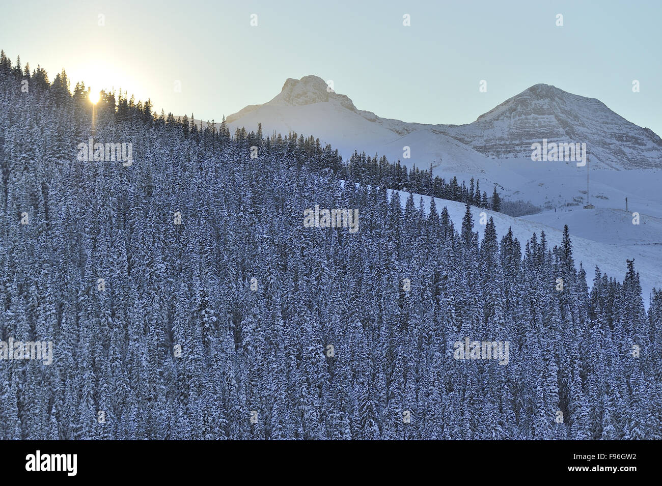 A late afternoon landscape image of the sun sinking behind a forest of spruce trees on a hillside near Cadomine Alberta Canada Stock Photo