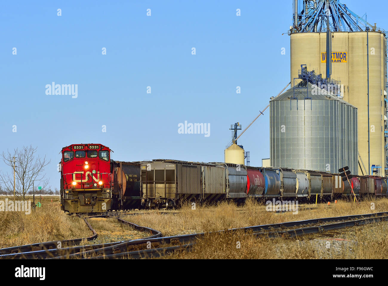 A horizontal image of a Canadian National freight train loading grain from the grain storage terminal near Morrinville Alberta Stock Photo