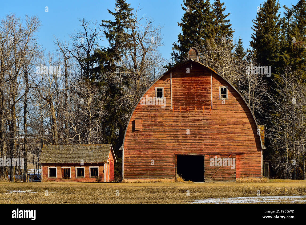 A spring time landscape image of an old barn and shed on a farm in rural Alberta Canada. Stock Photo