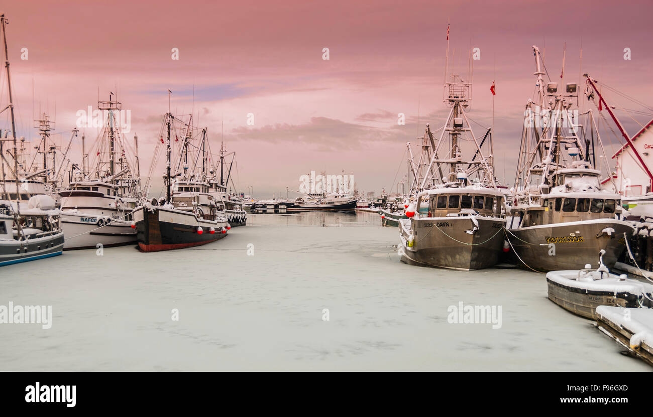 Fishing boats tied up for the winter freeze in Steveston Harbour. Stock Photo