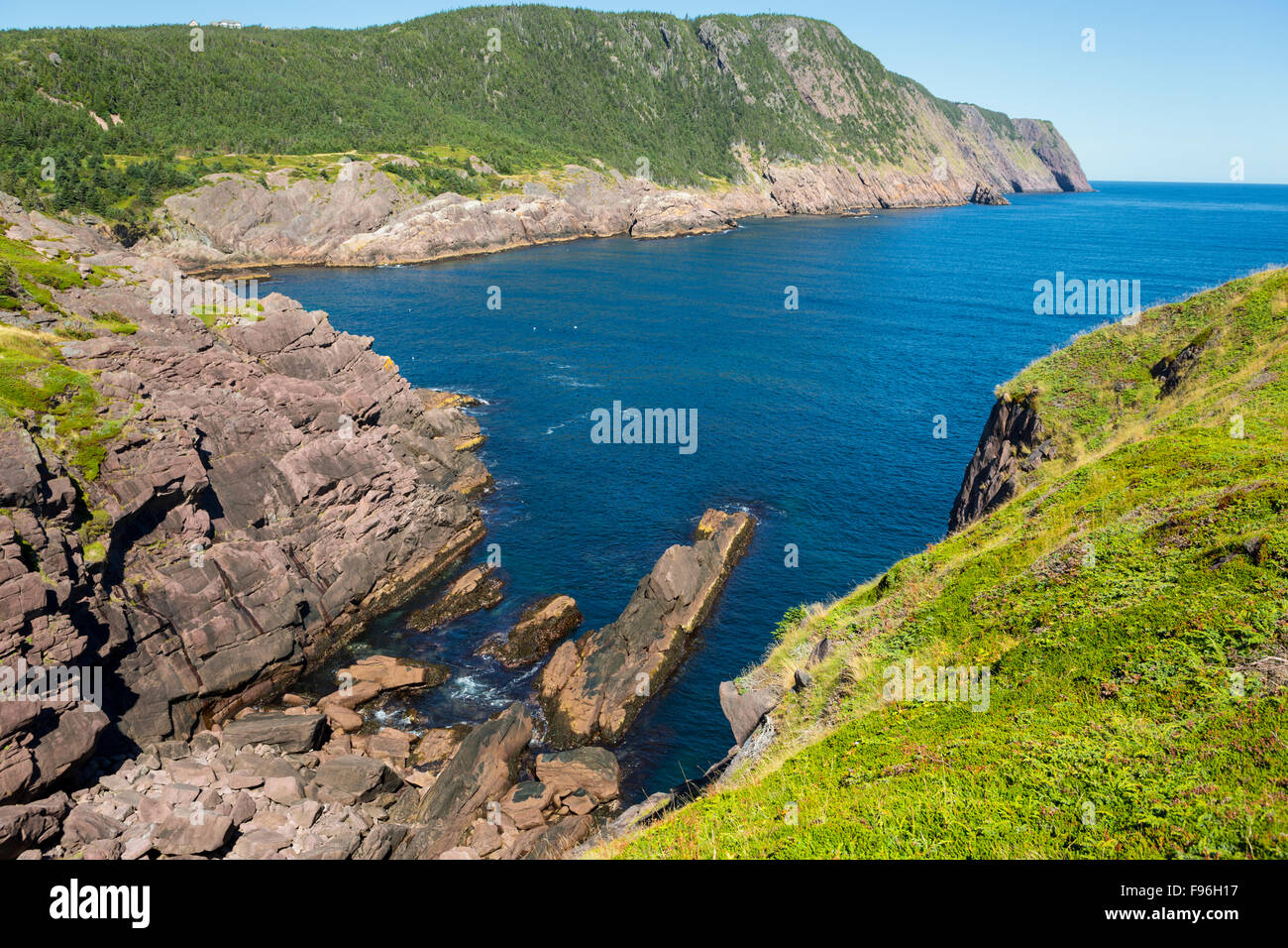 Coastline, Logy Bay, Newfoundland, Canada Stock Photo