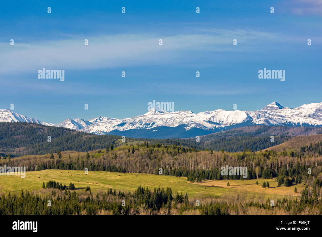 Millarville hires stock photography and images Alamy