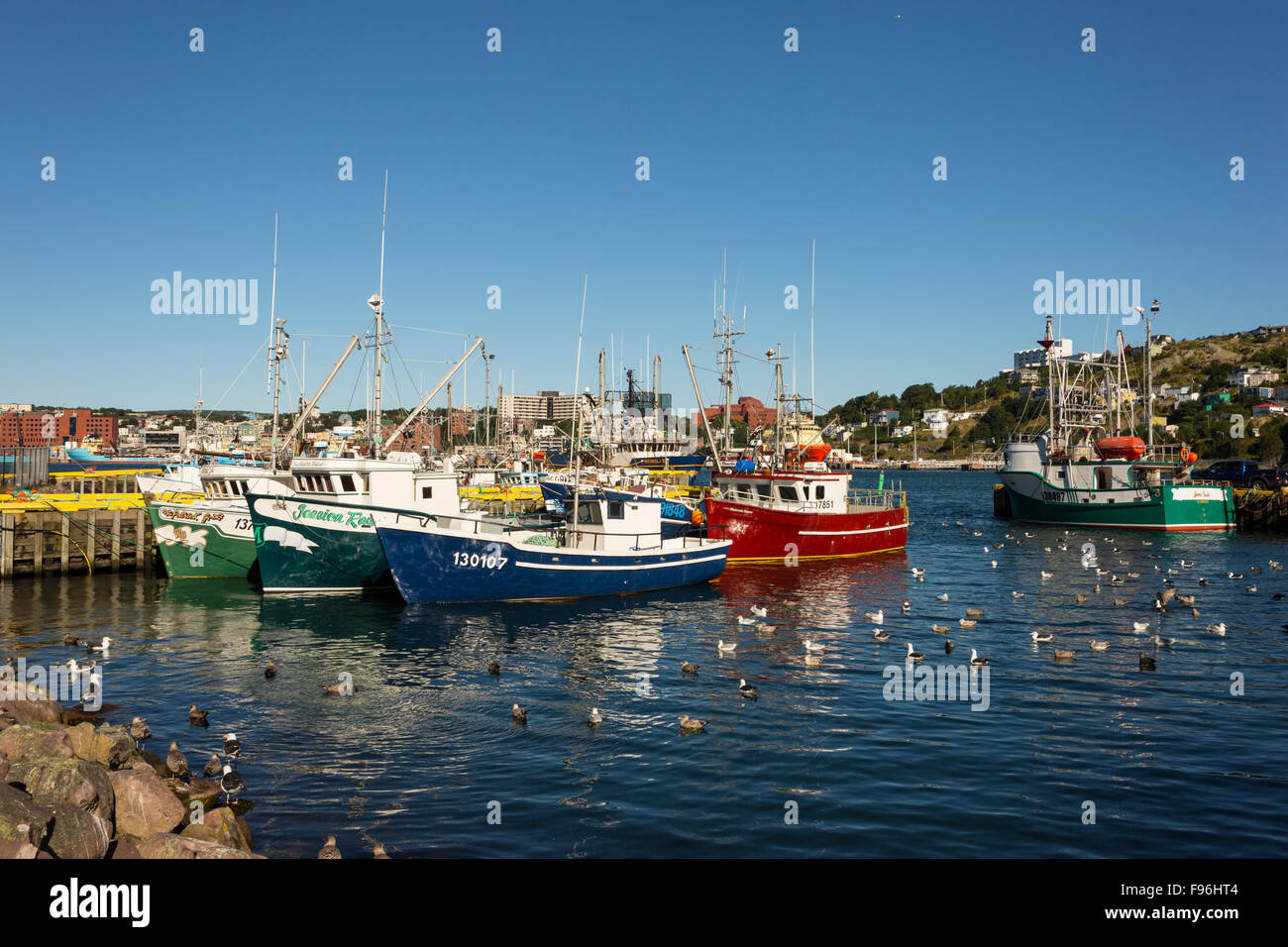 Fishing boats at wharf, St. John's, Newfoundland, Canada Stock Photo