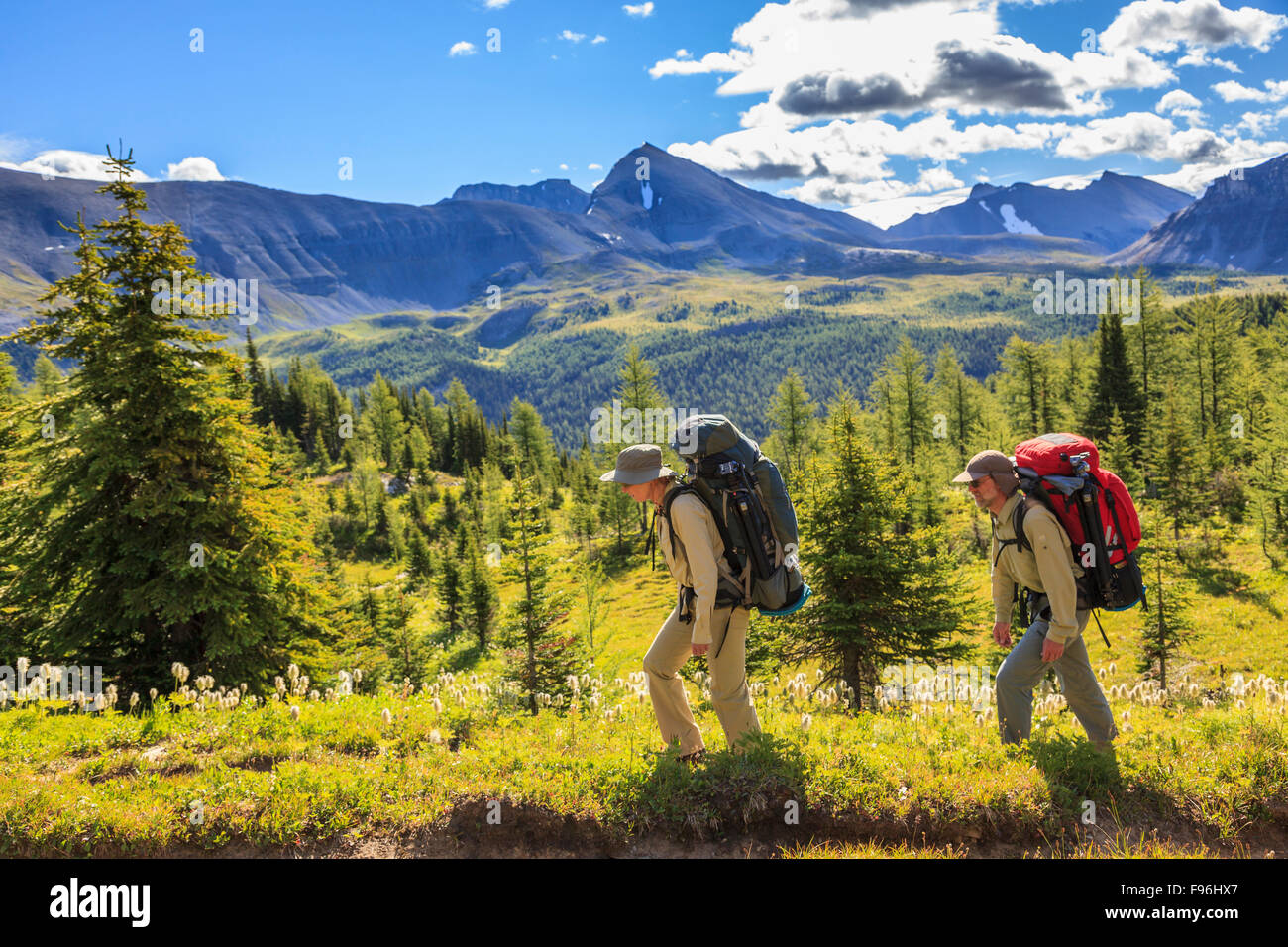 Two back packers hike the Citadel Pass trail from Sunshine Meadows along the Great Divide in Banff National Park, Alberta, Stock Photo