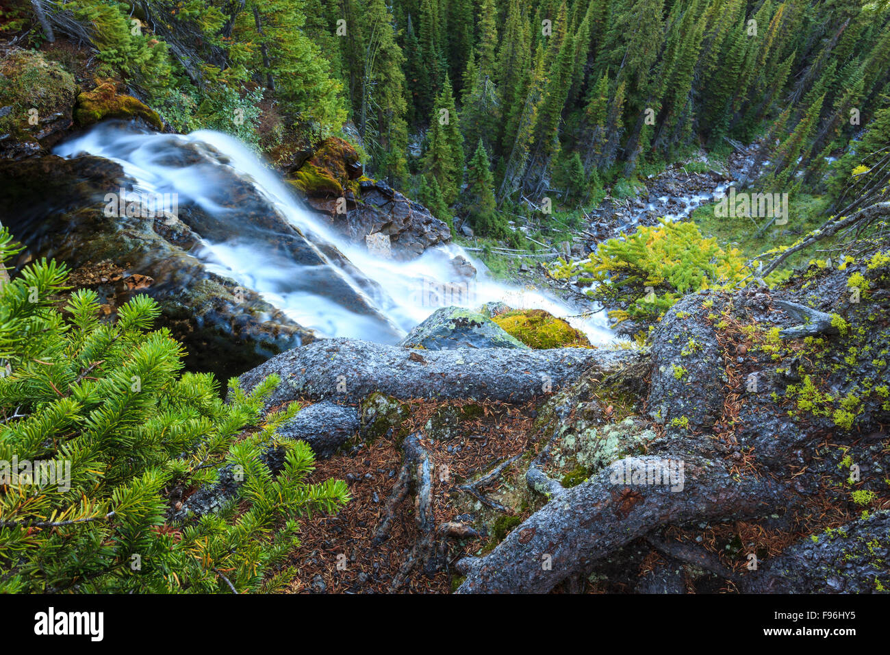 A stream flowing from Scarab Lake cascades into the valley near Egypt Lake, Banff National Park, Alberta, Canada. Stock Photo